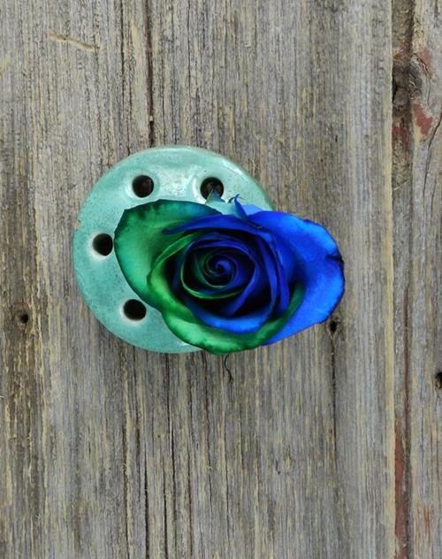 BLUE & GREEN  TINTED ROSE